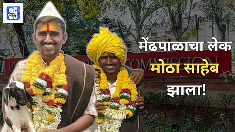 Birdev Done IPS
