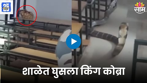 School Incident Viral Video