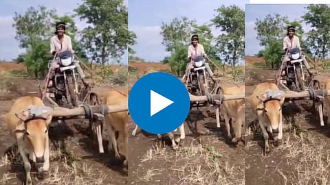 Viral Video