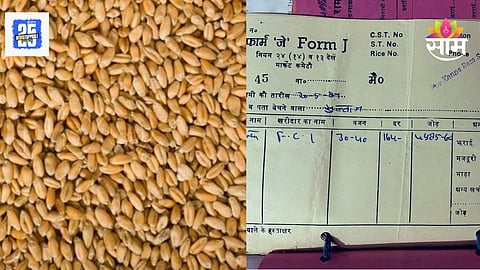 Wheat Price