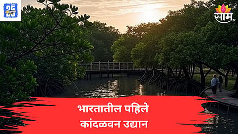 Mangrove Park In Mumbai