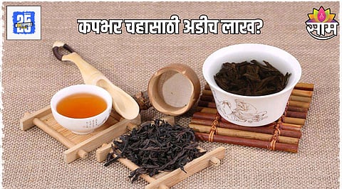 worlds most expensive tea da hong pao