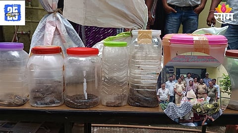 Snake Smuggling Racket Busted In Wardha