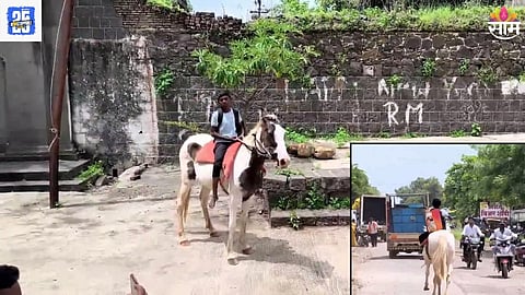 Horse back To School