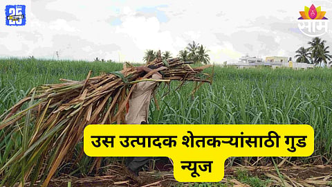 uttar pradesh news