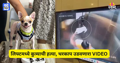 Shocking: मोलकरणीचं भयंकर कृत्य, लिफ्टमध्ये कुत्र्याला आपटून आपटून मारलं; पाहा VIDEO