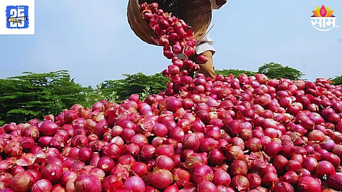 Onion Imports Export Restrictions: