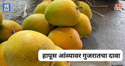 Alphonso Mango: हापूस आंब्यावर गुजरातचा दावा, कोकणातील शेतकरी कोर्टात जाण्याच्या तयारीत