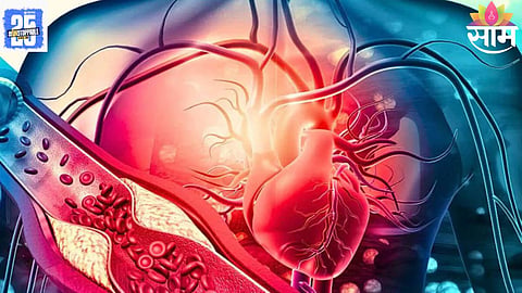 Blood Circulation Improvement