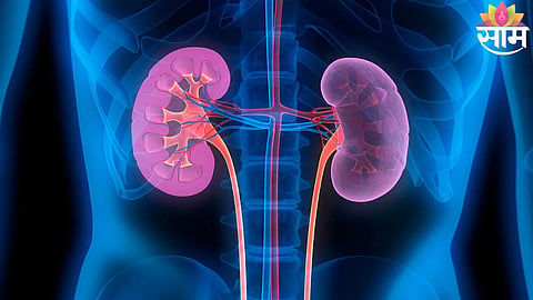 Kidney Failure Reasons