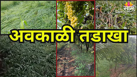 अवकाळी तडाखा, शेतकरी हतबल