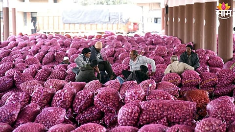 Onion Export Policy :