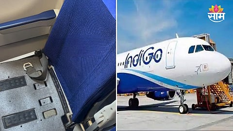 Viral flight video