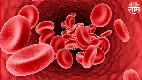 Bone Marrow Transplant Success Story