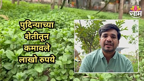 Success Story