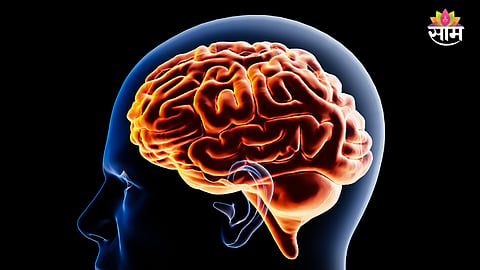 Brain health tips