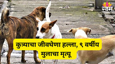 stray dog on child