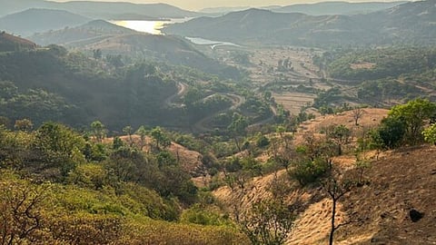 Ratnagiri: गावठी बॉम्बच्या स्फोटाने रत्नागिरीत खळबळ, महिलेच्या हाताची पाचही बोटं तुटली