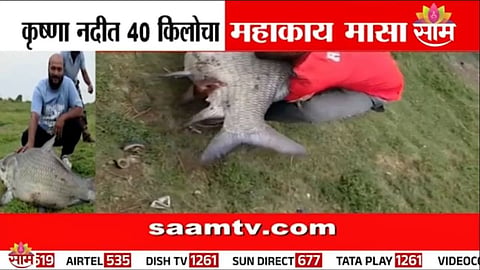 Sangli News update