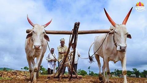Maharashtra Loan Waiver Scheme: