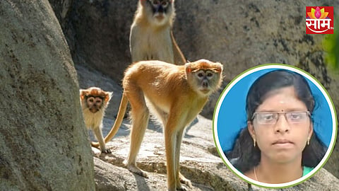 Shocking: लग्नानंतर देवदर्शनाला गेले असता नवविवाहितेचा दुर्दैवी मृत्यू ; माकडांना पाहून घाबरली, पळत असताना दरीत पडली