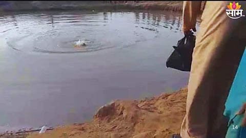 Three Youths Drown in Quarry