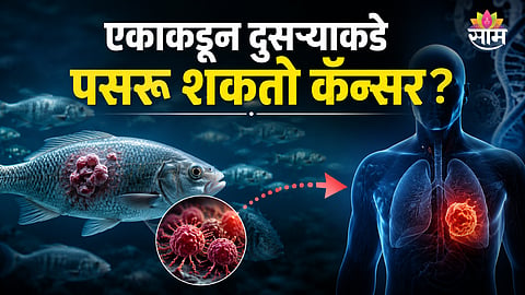 Transmissible cancer