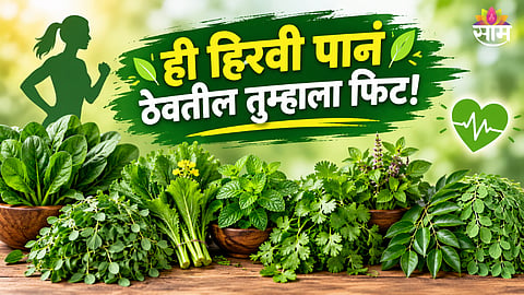 Green leafy vegetables
