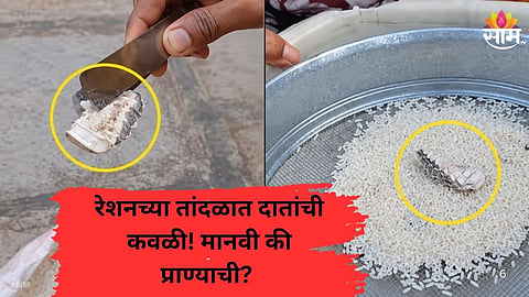 denture allegedly found in ration rice in Dharashiv Maharashtra