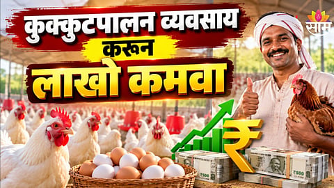 Poultry Farming: कुक्कुटपालन व्यवसायासाठी किती कर्ज मिळते? अर्ज कसा कराल