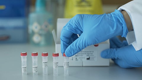 खूशखबर! अमेरिकेला कोरोनावर उपाय सापडला, उंदरावर करण्यात आलेला प्रयोग यशस्वी
