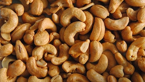 cashew