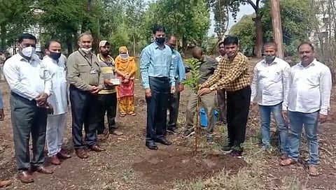 Tree planting in Dhule on the occasion of World Environment Day