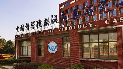 wuhan lab