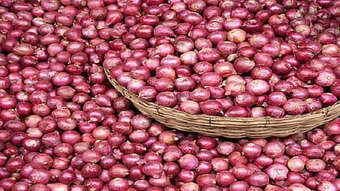 Onion