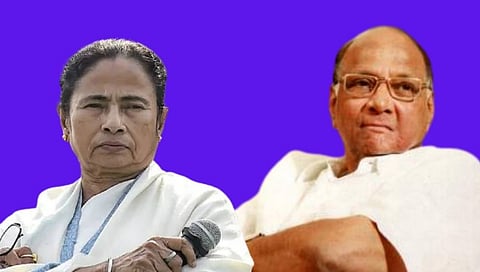 Mamata Banerjee - Sharad Pawar