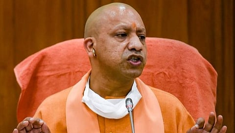 yogi