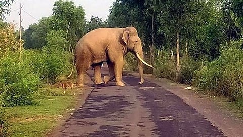ഫയല്