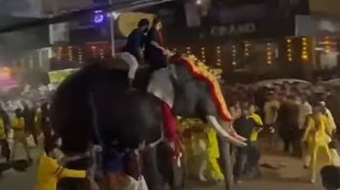 പട്ടാമ്പി നേര്ച്ചയ്ക്കിടെ സംഘര്ഷമുണ്ടായപ്പോള് വിരണ്ടോടുന്ന ആന
