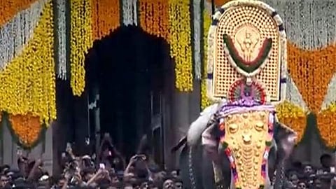 അയല് സംസ്ഥാനങ്ങളില്നിന്ന് ആനകളെ എത്തിക്കാം; ആനക്കൈമാറ്റങ്ങള്ക്ക് അനുമതി