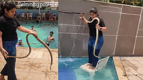 snake video