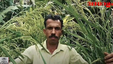 സത്യനാരായണ