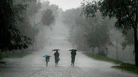 Rain Alert