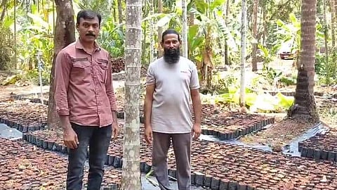 കണ്ണൂരില് അടയ്ക്കാ വിപ്ലവവുമായി കൂട്ടുകാര്, ഒന്നരയേക്കര് സ്ഥലത്ത് ഉല്പാദിപ്പിച്ചത് രണ്ടരലക്ഷം കമുകിന് തൈകള്