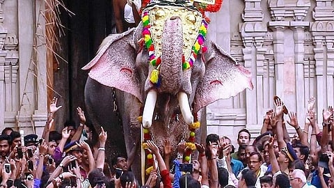THRISSUR POORAM