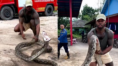 snake grab