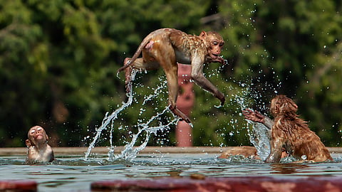 heatwave in delhi