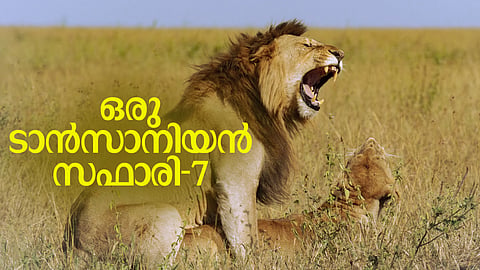 ''കാടിന്റെ രാത്രിത്തോറ്റങ്ങള്, സിരകളിലേക്കു നേരെച്ചെന്നുണര്ത്തുന്ന ആഫ്രിക്കന് കാപ്പിയുടെ മാദകത്വം''