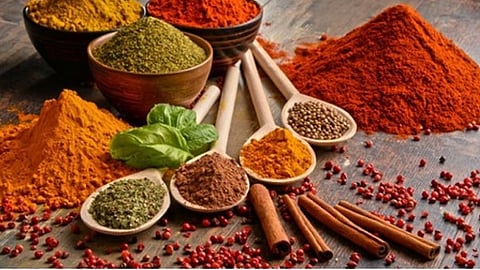 FAKE MASALA