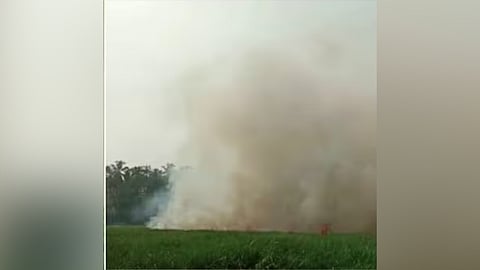 Kerala heat